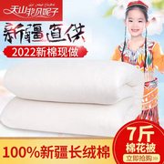 7斤新疆棉被长绒棉花被芯单人，双人褥子垫被棉絮棉胎学生春秋冬被