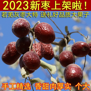 2023新枣新疆红枣若羌灰枣树上枣香甜肉厚大枣500g大特级