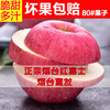 新鲜苹果烟台苹果山东红富士新鲜水果5斤脆甜苹果农产品