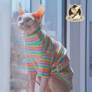 2023年无毛猫斯芬克斯德文宠物猫衣服春夏款纯棉高弹彩虹条纹长袖
