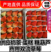 新鲜草莓四盒装四季烘培奶茶蛋糕双流夏季商用酸草莓同城配4盒包