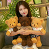 泰迪熊抱抱熊熊猫小熊公仔，布娃娃毛绒玩具小号送女友，生日礼物女生