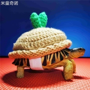 乌龟衣服宠物用品定制保暖冬眠可爱陆龟水龟豹龟巴西龟草龟装饰