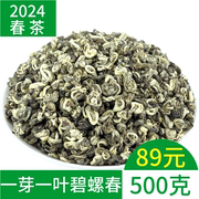 一芽一叶碧螺春2024春茶，特级绿茶新茶浓香云南绿茶，滇绿茶袋装500g