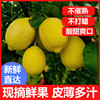 云南高山黄柠檬(黄柠檬，)一级大果5斤皮薄青柠檬，孕妇水果新鲜采摘安岳