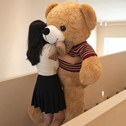泰迪熊公仔玩偶毛绒玩具，熊猫布娃娃女生送女友，生日情人节礼物大号