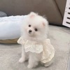 狗狗裙子小狗夏季春秋衣服宠物小型犬泰迪比熊博美茶杯犬猫咪薄款