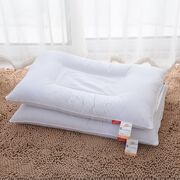 荞麦皮保健定型枕全荞麦壳枕芯，护颈花草枕枕芯工厂直发小额