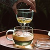玻璃杯茶杯带把茶水分离男女士花茶杯过滤泡茶杯家用水杯透明杯子
