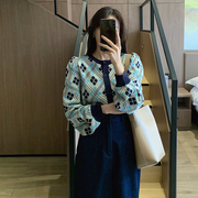 短款圆领毛衣女(毛衣女，)蓝色复古菱格开衫，2023秋季韩版针织衫