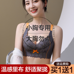 内衣女小胸聚拢夏季薄款无钢圈，调整型收副乳防下垂上托显大文胸罩