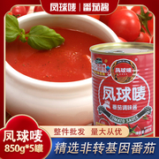 凤球唛番茄酱调味酱850g*5罐灌装商用薯条酱，披萨寿司番茄酱沙司