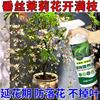 适合各种花的营养液垂丝茉莉营养液黄叶不开花生长慢专用免稀释液