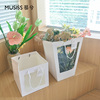透明橱窗鲜花手提袋花束，网红插花纸盒开窗袋，花艺包装盒礼物袋
