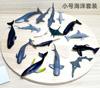 小号海洋套装实心动物玩具仿真模型生物儿童，认知鲸鱼海豚海龟鲨