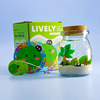 海藻球微景观生态瓶水培球藻创意迷你植物桌面玻璃瓶盆栽礼物