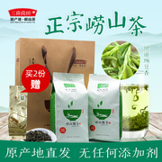 崂山绿茶2023新茶袋装500g青岛特产一级高档浓香散装茶叶云雾春茶