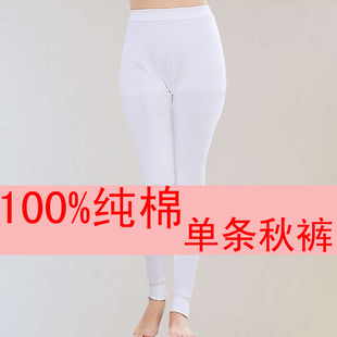 100%棉男女士单条秋裤全棉线裤衬裤大码棉毛裤白色黑色中高腰裤子