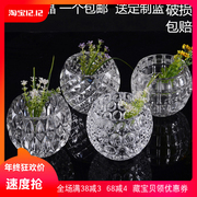水晶加厚绿萝水培花盆，玻璃花瓶透明花卉，水养植物器皿大号摆件欧式