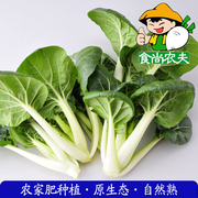 农家小白菜有机肥生态，种植新鲜蔬菜配送500克广东，满88