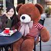 泰迪熊熊猫公仔1米8大号抱抱熊布娃娃女2米大熊毛绒玩具熊送女友