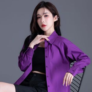 小个子紫色衬衫2024打底衬衣女秋冬设计感小众高级感上衣外套