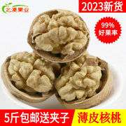 薄皮核桃新疆特产，2023新货大原味，非纸皮生特级新鲜阿克苏散装5斤