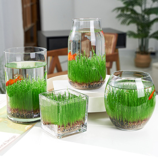 9.8元2个diy创意鱼缸生态瓶玻璃，插花瓶水培草，种子四季微景观摆件