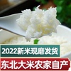 东北大米5斤珍珠米黑龙江五常长粒香大米5kg农家，自产2022新米现磨