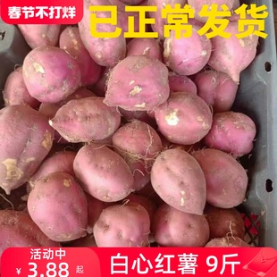 重庆红薯山芋助农地瓜，红皮白心红薯新鲜干瓤粉圆红苕板栗番薯9斤