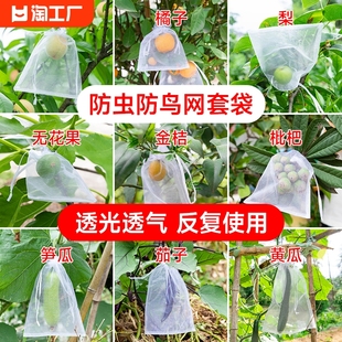 水果套袋防鸟网纱袋防虫袋果树，无花果葡萄桃子草莓保护袋果蝇种植
