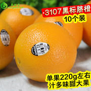 美国新奇士(新奇士)3107黑标脐橙新鲜甜橙皮薄，多汁橙子新鲜孕妇水果5斤