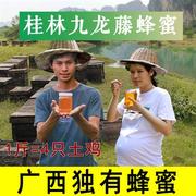 桂林水源林保护区一级九龙，藤蜜乌桕蜜，纯正天然农家土蜂蜜2斤