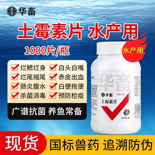 华畜土霉素水族鱼药片乌龟鱼用养鱼水产用药黄粉锦鲤金鱼烂身烂尾