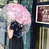 长柄雨伞透明高颜值女日韩系创意小清新直柄樱花雨伞ins小众拱型