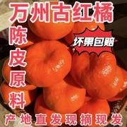 新鲜万州古红橘四川红桔新鲜当季水果大红袍手剥橘子陈皮原料