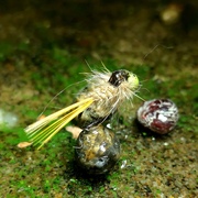 北京路亚飞蝇钩飞钓鳟鱼饵马口，溪哥白条套装仿生饵黑坑y139