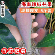 辣椒芒果 海南现摘新鲜辣椒芒5斤当季孕妇水果 网红牙签芒小芒果