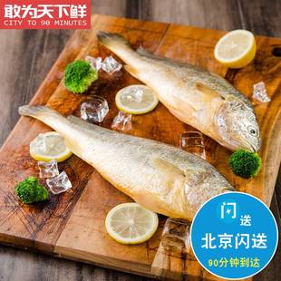 1.5斤1条 北京闪送 冰鲜 大黄鱼 海鲜水产 新鲜 可代清理 黄花鱼