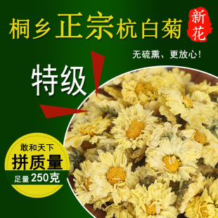 菊花茶杭白菊花桐乡特级正宗杭菊杭州贡菊胎菊250g