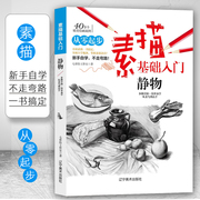 零基础素描从入门到精通素描书基础教材，临摹画册绘画手绘初学者自学书籍，画画人物静物几何体头像铅笔画美术素描基础入门静物