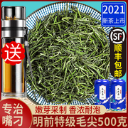 怡芯一品2023新茶毛尖茶叶，正宗明前特级嫩芽，浓香型绿茶散装500g