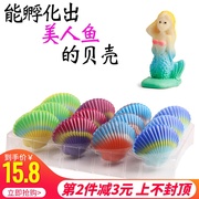 儿童节泡水膨胀可孵化出美人鱼海洋动物的扇贝壳海螺儿童新奇玩具
