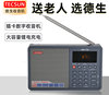 Tecsun/德生 ICR-110插卡大收音机老年人录音MP3便携式半导体音响