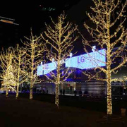 新o年春节装饰用品树彩灯，20米led串灯闪灯串满天星红白蓝彩色