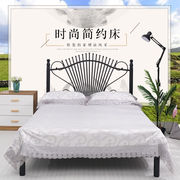 怡辰思特欧式时尚铁艺床，1.5米简约现代双人床1.8米卧室成人铁架床