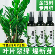 金钱树营养液专用肥花肥料盆栽植物金钱树土水培通用种植养花土壤