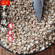 金沙薏米炒熟小薏米仁，薏仁米药用薏苡仁，特级仙游福建新货500g