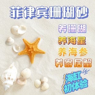 菲律宾珊瑚砂天然贝壳砂海缸造景沙海星海参寄居蟹专用沙免洗海沙