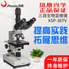 江西凤凰显微镜xsp-36TV光学640倍三目学生教学科普实验生物